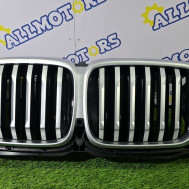 BMW X6 G01, решётка радиатора